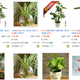 The search phrase air filtering plants turns up thousands of results.
